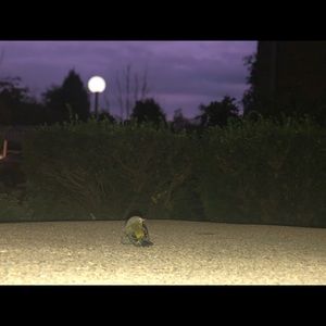 Meet your Posher, Chris